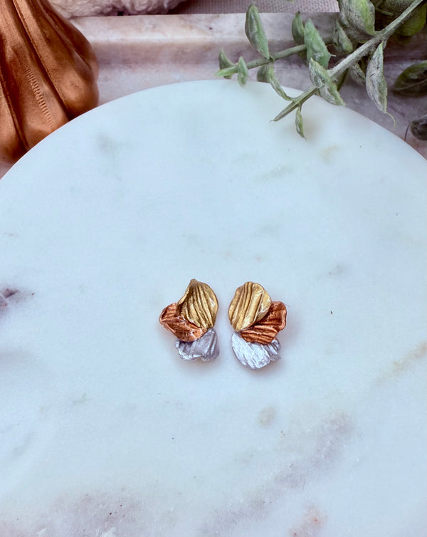 Tricolor Baby Angel Wings