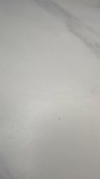 3 Petal Turnip Statements